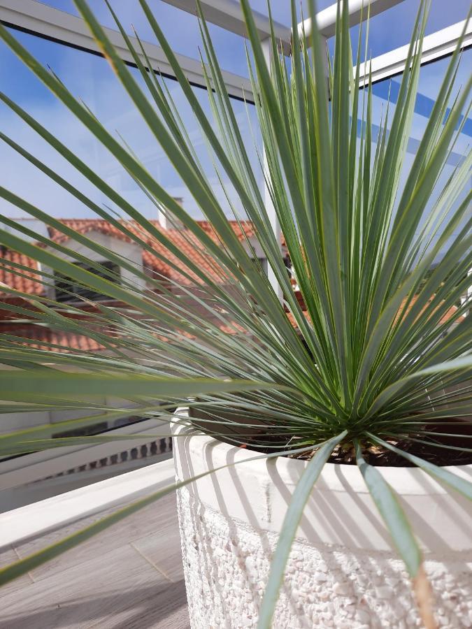Sitius 5B - New Seaview Apartment With Rooftop Terrace In Historical Centre Sitio Da Nazaré Eksteriør billede